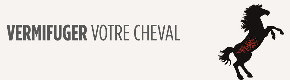 home banner