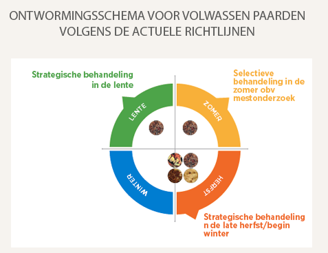 schema chart